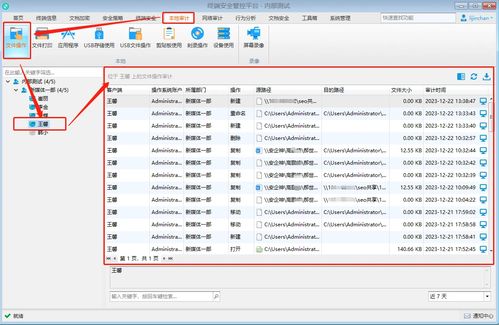 實時電腦監控與計算機軟件開發 工具、技術與應用