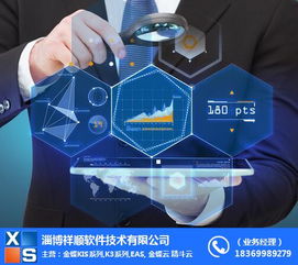 集團(tuán)ERP與祥順軟件 濱州計(jì)算機(jī)軟件開發(fā)優(yōu)勢(shì)